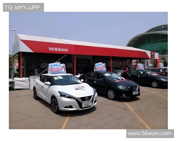 重庆羽毛球队在世锦赛上的拼搏历程与荣耀时刻全景回顾