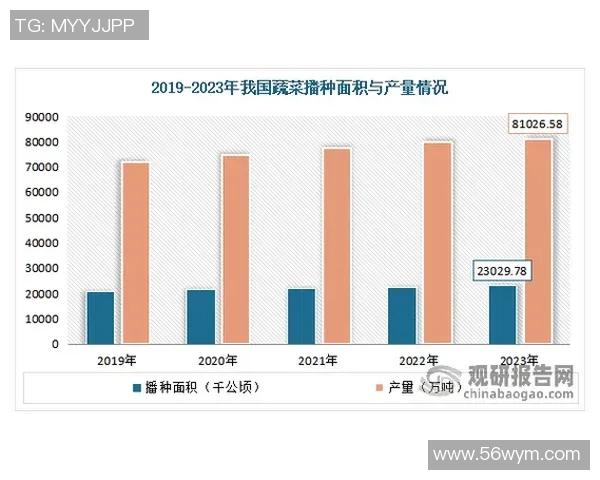 深入探讨成都足球队在赛季中的力量表现与数据分析结果