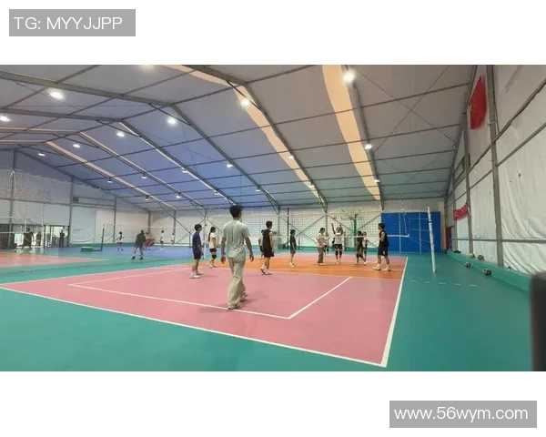 成都排球队排球意识创新高引领全国水平提升新篇章