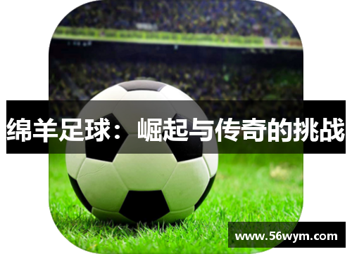 绵羊足球：崛起与传奇的挑战