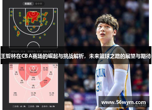 王哲林在CBA赛场的崛起与挑战解析，未来篮球之路的展望与期待